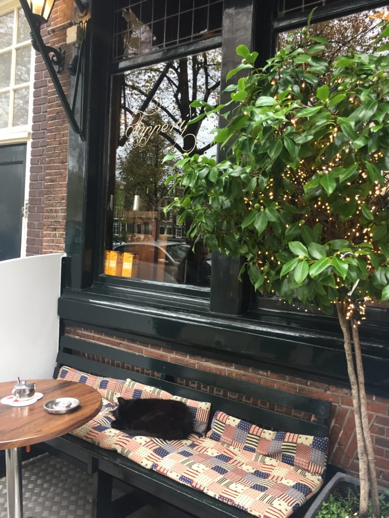 Amsterdam cafe with cat on the bench