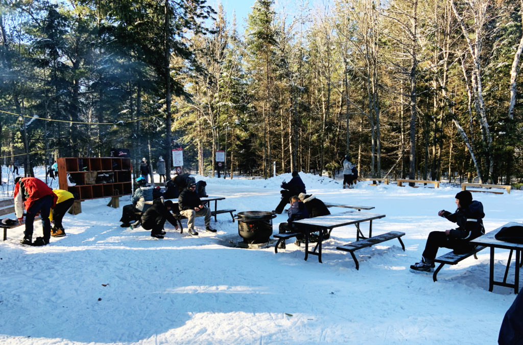 Picnic tables and firepits