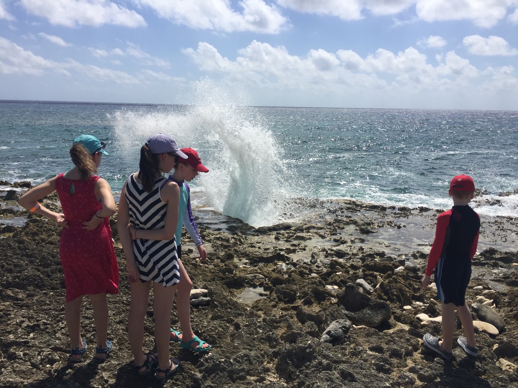 Blow Holes