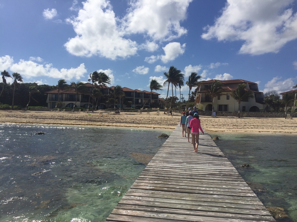 Dock & Beach